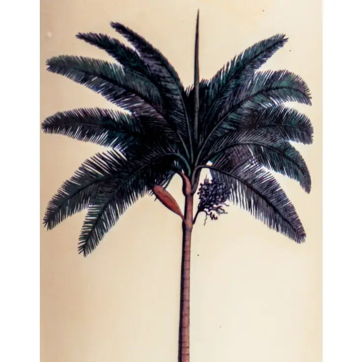 Suporte para guarda-chuva em cerâmica com litografia de palmeira e selo real