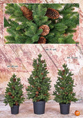 PINHEIRO SOBREMESA PINHAS. 60 cm. Verde