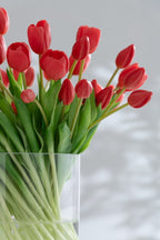 Ramo Tulipan 7piezas Pu Rosa Coral Large