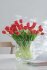 Ramo Tulipan 7piezas Pu Rosa Coral Large