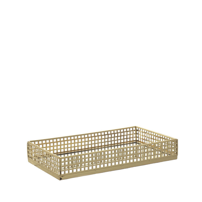 Stainless steel tray and mirror
