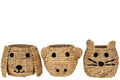 CEST GAT/PER/CER JAC AG NAT A3 (26x27x21cm)