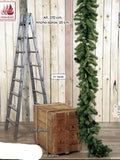GRINALDA PINHEIRO NORUEGA. 270 cm.