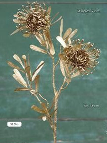PROTEA x 2. 74 cm. Oro.