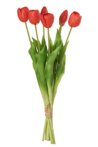 Ramo Tulipan 7piezas Pu Rosa Coral Large