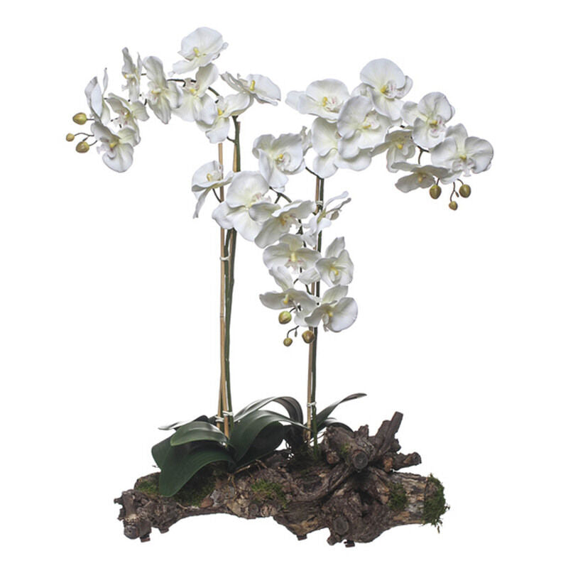 Orquídea 3 Caules Tronco Natural - 23109