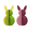 COELHOS DE PAPEL FÚCSIA, VERMELHO